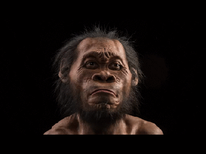 Homo naledi. Photo: Lee R. Berger