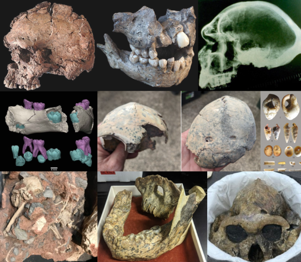 The Top 10 hominin #FossilFriday posts of 2023